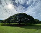 貴方のお悩みをスピュリチアルの観点から導きます 少しでもお力になれれば幸いです。 イメージ1