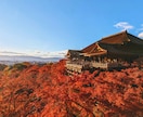 京都旅のプランを、あなたと一緒に整えます “また旅したくなる京都”の1日を考えるお手伝いをします イメージ6