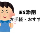 エントリーシート【ES/オプションあり】添削します 現役大手企業採用担当者にお任せください！ イメージ1