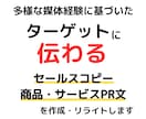 元販促企画者が訴求力が高いセールスコピーを書きます メルマガからECサイトの商品PR文まで幅広くご対応します イメージ5