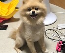 小さな愚痴やただ話きいてほしいだけでもお受けします 友達のような関係でお話しちゃってください！ イメージ2