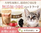 ワクワクするバナーをデザインします シンプルから個性的まで。おっ！と目を惹くデザインをお届け イメージ2