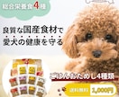 集客・売上に貢献するバナー作成します #FB広告 #インスタ広告 #GDN/YDN広告 #サムネ イメージ6