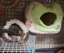 セクハラやイタズラ虐待をされた貴方、お話を聞きます 周りがどう言おうと辛い思いをしたなら、貴方は【被害者】です イメージ8