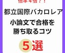 都立国際バカロレアについての受験相談をしております 都立国際バカロレアを主席で合格した卒業生が質問にお答えします イメージ4