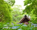 愛知県内限定✨フォトジェニックな日帰り旅、考えます 愛知県内の知られざる自然派フォトジェニック旅をお届け イメージ6