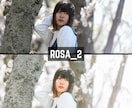 ROSA｜Lightroomプリセット販売します スマホで撮影した写真、ワンタッチで大変身！ イメージ6