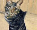あなたの大切なペットを油絵で描きます ペット・動物の絵を飾りたい方におすすめです！ イメージ1