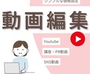 Youtube動画編集をサポートいたします サムネやフルテロップもOK！講座動画／PR動画／SNS動画 イメージ1