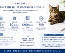 化粧品・健康食品の法規に則した資料を作成します 業界歴30年のプロが薬機法・景表法に配慮した資料を作成 イメージ3
