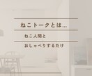 ねこトークとは…ねこ人間があなたと話をします ねこ人間に話しかけてみましょう！レッツトークにゃ！ イメージ2
