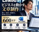 LinkedIn発信設計を個別支援します 世界市場を見据えたLinkedIn発信を実務視点で設計 イメージ3