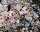 モヤモヤ解消♪お話しお聞ききします どんなお話でも聞かせてください♪ イメージ1