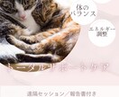 アニマルトータルサポートケアます オーラ・レゾナンス・ヒーリング・遠隔ケアで心と体をサポート イメージ6