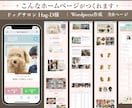 高品質の医療系・サロン系集客HP/LP作成します ペライチとワードプレスに対応/SEO+集客+薬機法+検索上位 イメージ7