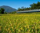 お客様のご希望に沿ったお写真お撮りします 乗り物、風景写真の撮影と編集を得意としております！ イメージ6