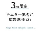 3名限定【モニター価格にて】広告運用代行いたします 売り上げアップの為の施策、しっかりと組み込んでいきます。 イメージ1