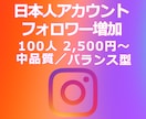 IG:日本人フォロワー獲得を支援します Instagram／見た目重視／バランス型 イメージ1