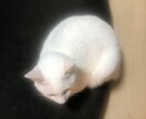 人生についていっしょに考えます 生きる意味ってなんだろうって考えたりしませんか？ イメージ1