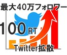 最大40万人以上！あなたのツイートをバズらせます Twitterツイートを100RTするまで連続拡散します！ イメージ1