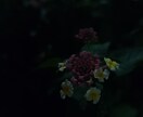 何でもお話し聞きます ちょっとしたちくっとしたことや、居場所がないと感じるときに イメージ1
