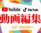 YouTubeTikTokなど動画編集いたします 「分かりやすく」「おしゃれに」など臨機応変に対応します イメージ1