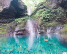写真提供します 自然や小物、ペットのハムスターの写真などご要望に応じます。 イメージ3