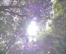 思いを吐き出し貴女の個性を引き出します 電話にてセッション致します。より良く進みたい方 イメージ1