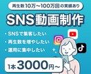 ターゲットに届くSNS動画を制作します "見られる動画"でSNS集客をサポートします。 イメージ1
