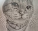 人物、ペット似顔絵作成します 細密鉛筆模写！SNSや名刺等にご活用ください イメージ4