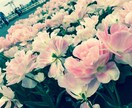 愚痴など日常会話、ご相談ごとなんでも聞きます 悩み、ストレスなど溜まってはいませんか？ イメージ1