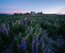 ニュージーランド国内何処でも出張撮影いたします 目を引くような魅力的な写真を提供 イメージ5