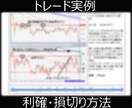 FX 専業の私の手法全てをお伝えします 歯の浮くようなキャッチーな事は言いません。 イメージ7