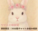 深夜限定|30分間集中チャットでお悩みお聞きします 人間関係・恋愛・孤独感・不安など幅広い悩みに寄り添います。 イメージ1