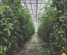 イケボが只々あなたの話をお聞きします どんな事でも内容はOK(❁´◡`❁)こんな笑顔で受け止めます イメージ3