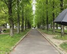 頑張ってるあなたを応援します あまり誰にも応援されないことでも全力で応援します！ イメージ1