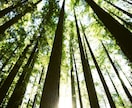 秘密の恋|誰にも言えない想いを読み解きます 抱えている苦しい想い、その奥にある本当の感情を紐解きます。 イメージ5