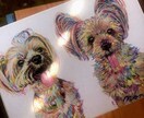 ペット似顔絵描きます 大切なペットを色鮮やかに世界に一つだけのアートを描きます！ イメージ5