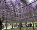 あなたに最適の旅行のプランを一緒に考えます 旅行初心者のあなたの旅行を、最高の思い出に！ イメージ1