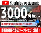 YouTube再生回数3,000回以上増加させます 即日対応・ショート可・複数動画の振り分けOK イメージ1