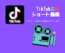 TikTok動画広告作ります 【制作まるっとお任せ】広告動画制作のお手伝いいたします！ イメージ1