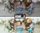 HOME｜Lightroomプリセット販売します スマホで撮影した写真、ワンタッチで大変身 イメージ5
