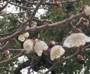 高次の神様からのメッセージお伝えします 沢山の神様から、あなたのお悩みをアドバイスして頂きます イメージ2