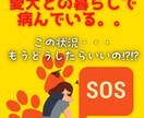犬との暮らしで病んでいる人のお話お聞きします 今の状況どうしたらいいの?!となっている方、まずはご相談を。 イメージ1