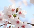 自分の手持ちのカメラで写真を撮ります 息をのむほどの自然の美しさをお届けします！ イメージ2