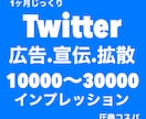 Twitter拡散じっくり1か月保証300RTます 最低保証300RT.1か月ゆっくり宣伝集客致します。 イメージ1