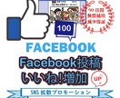 フェイスブック投稿に100いいねまで増やします 【保証付】Facebook投稿/いいね！/世界中拡散 イメージ1