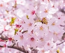 今の仕事を続けて得るものと失いものを占います そのお仕事は楽しいですか？仕事や転職でお悩みの方必見です！ イメージ1