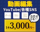 YouTube/PR動画等の制作をします YouTube/その他SNS/広告等お気軽にご相談ください イメージ1