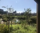 服部栄養&MBA卒が成功報酬で開業の相談乗ります 着手金1000円、失敗したらその後一切払う必要ありません イメージ1